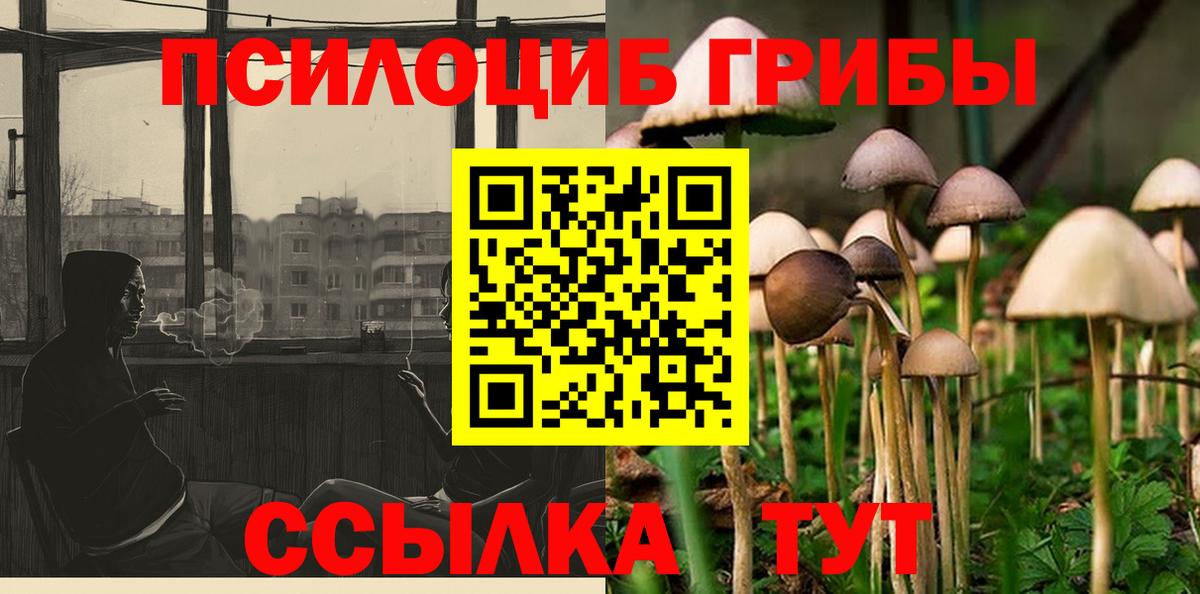 Галлюциногенные грибы мухоморы  Вход с VPN  Железноводск 
