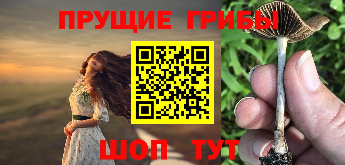 Псилоцибиновые грибы ЛСД Железноводск
